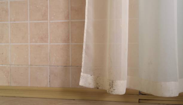 Best Commercial Mold Inspection  in St Helen, MI