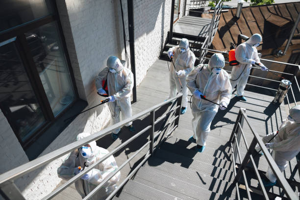 Best Environmental Consulting for Mold Prevention  in St Helen, MI