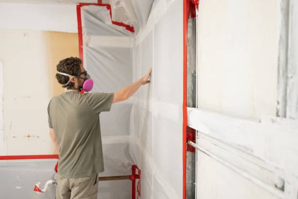  St Helen, MI Mold Removal Pros