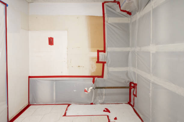 Best Biohazard Mold Removal  in St Helen, MI