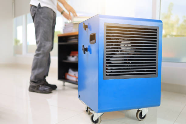 Best Real Estate Mold Inspection  in St Helen, MI