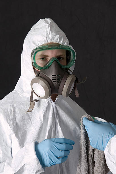 Best Mold Removal for HVAC Installations  in St Helen, MI